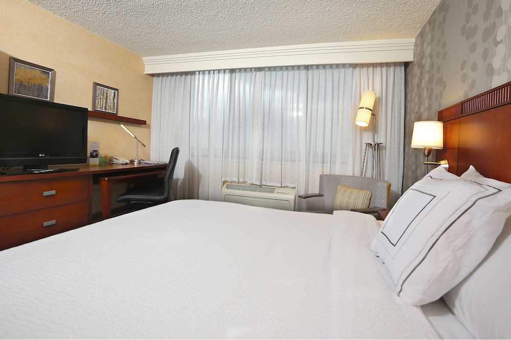Room, 1 King Bed with Sofa bed
