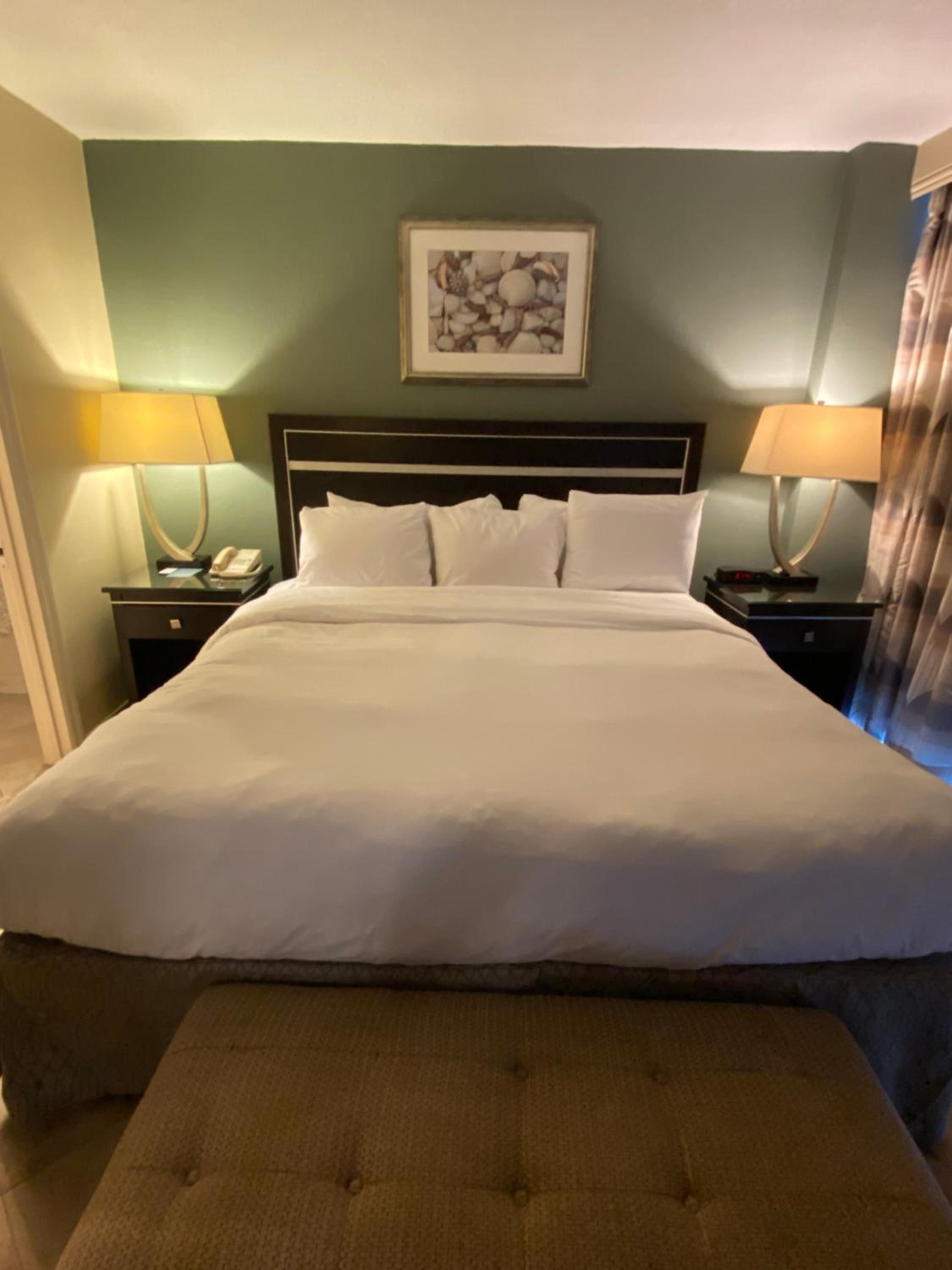 One-Bedroom Suite Oceanfront with Sofa Bed over 550 sq. ft.- Balcony/Lower Floor