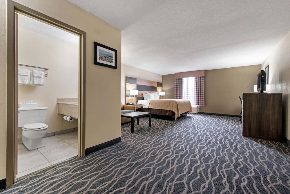 Suite, King Bed, 1 person Sofa Bed