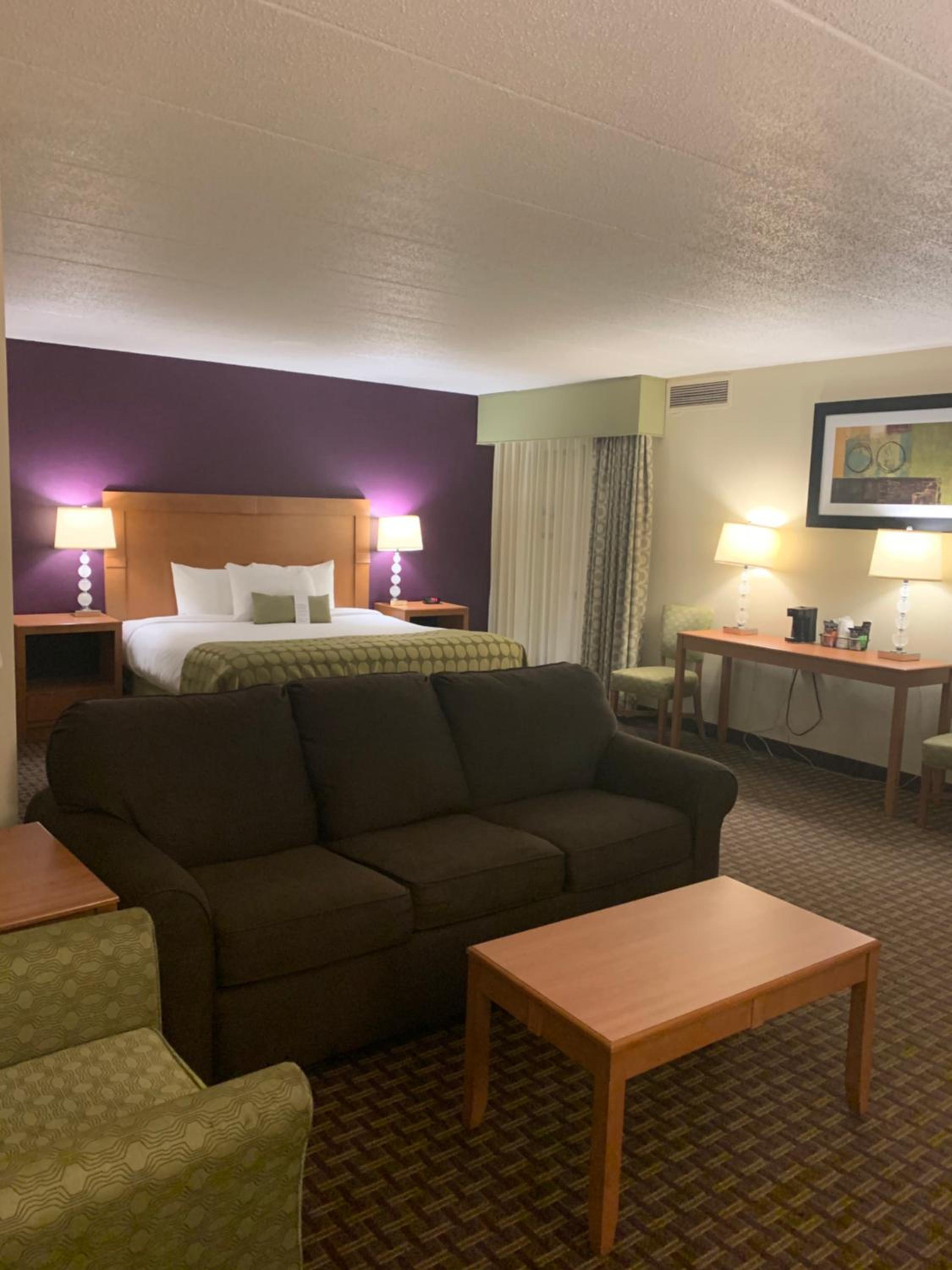 Deluxe King Suite - Non-Smoking