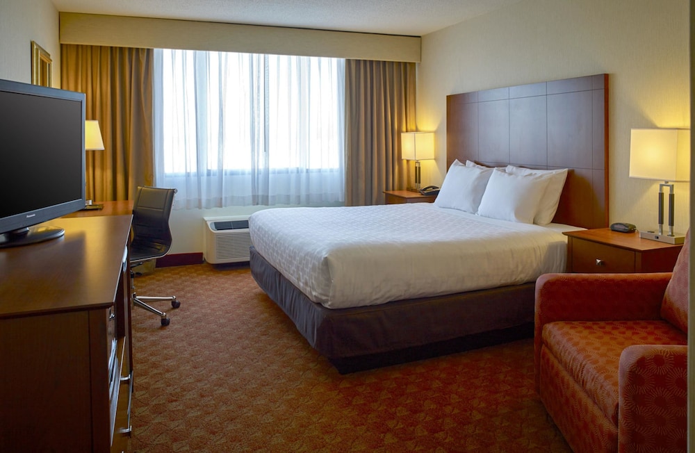 Room, 1 King Bed