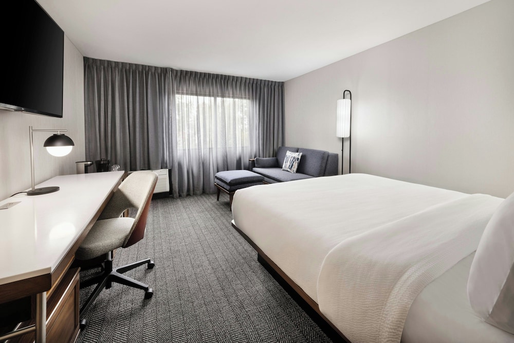 Room, 1 King Bed with Sofa bed (Mobility/Hearing Access, Roll-in Shwr)