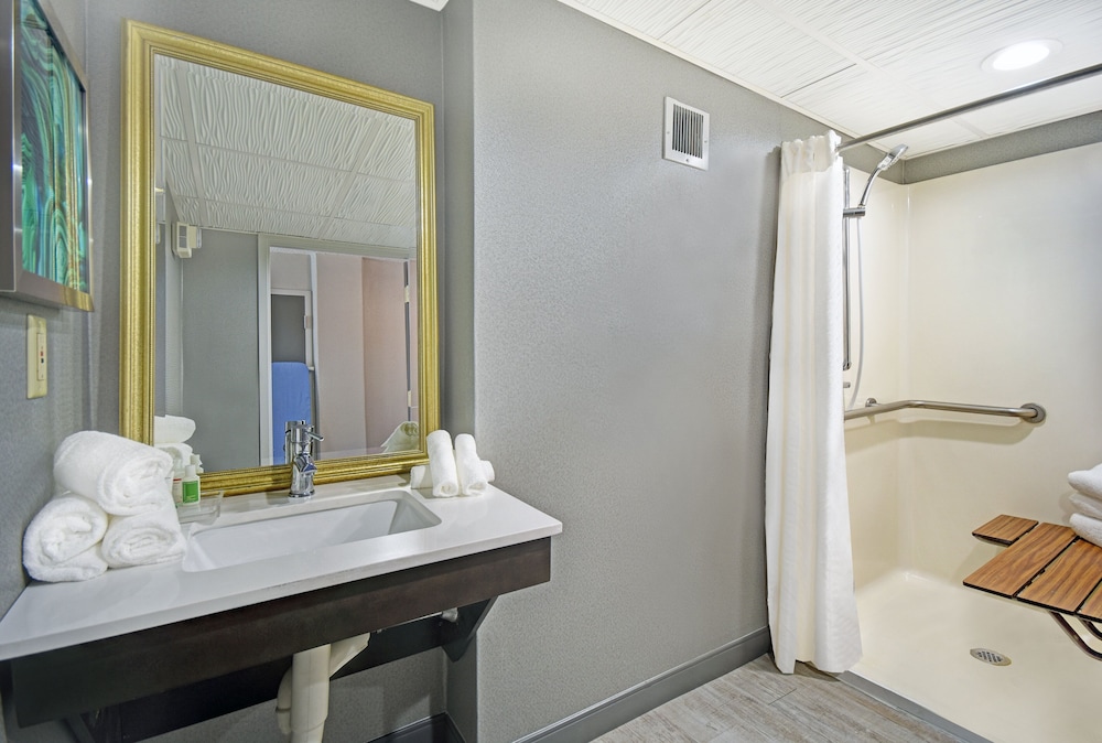 Standard Room, 1 King Bed, Accessible (Communications)