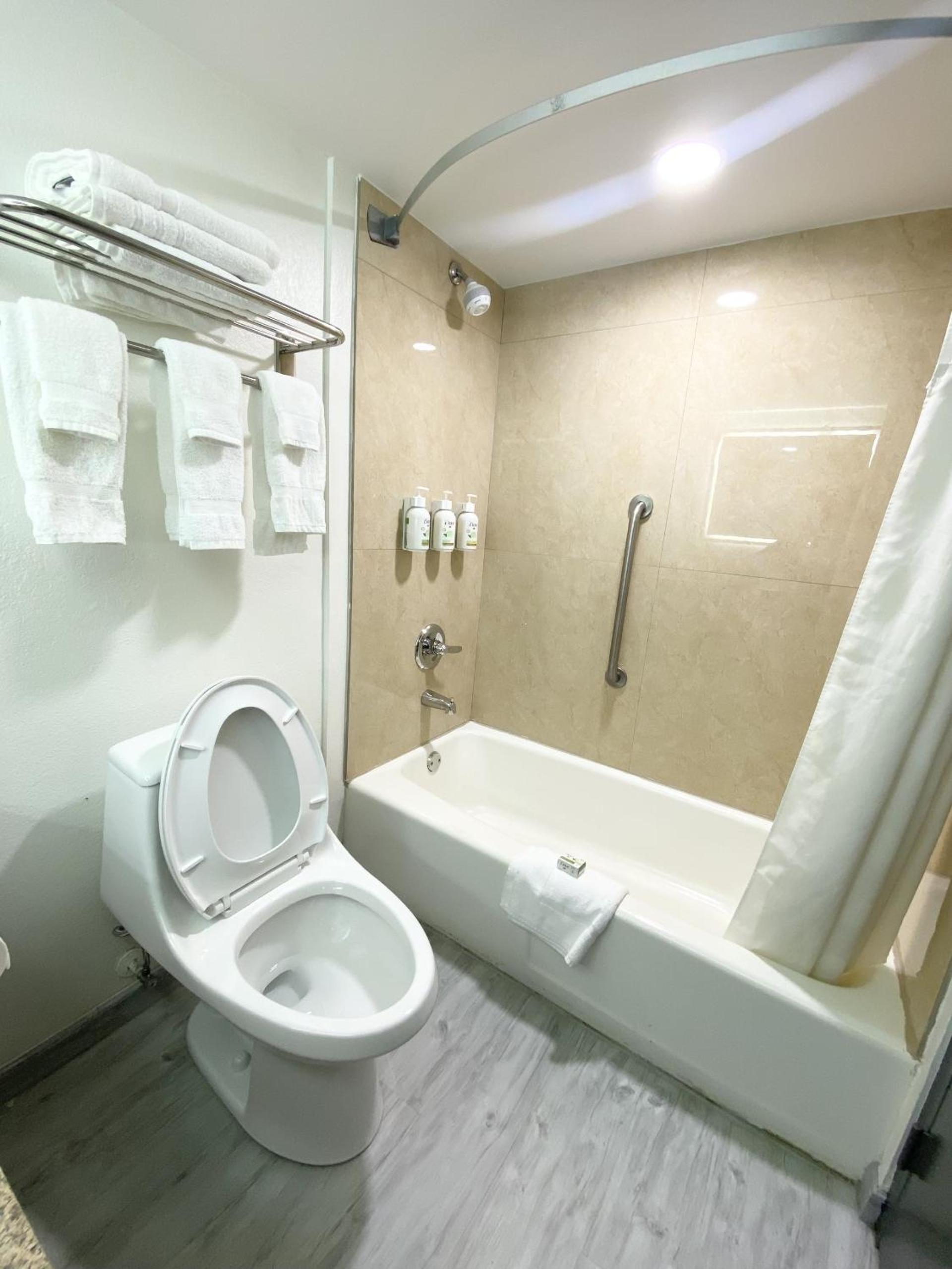 Junior Suite with One King Bed and Sofa Bed - Non-Smoking
