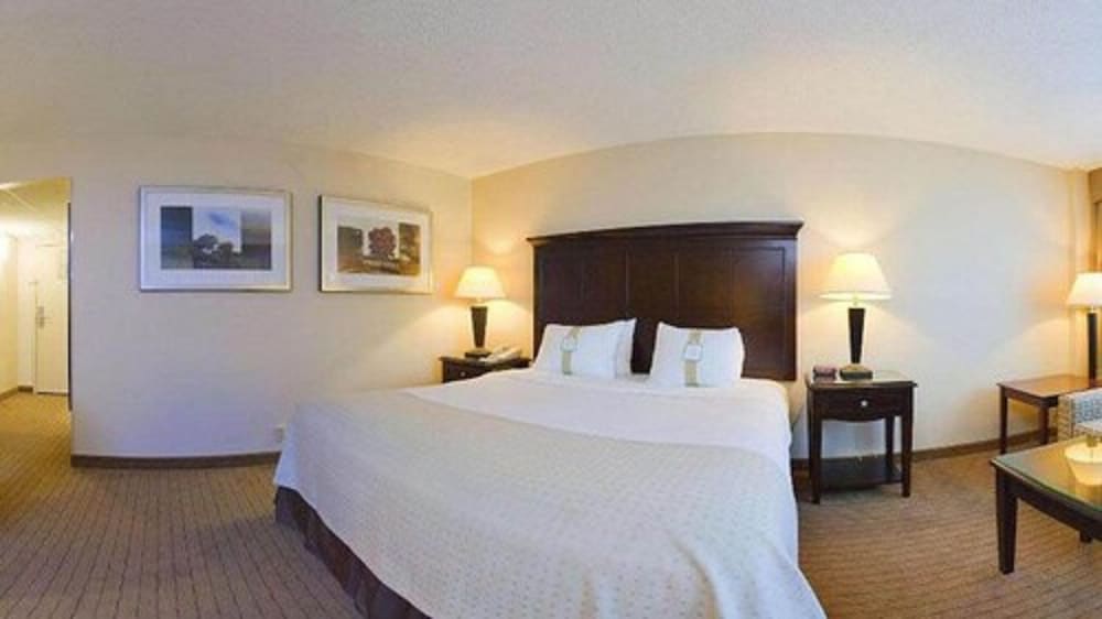 Standard Room, 1 King Bed, Accessible (Communications)