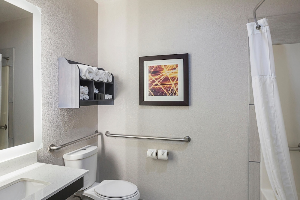 Suite, 1 King Bed with Sofa bed, Accessible, Non Smoking
