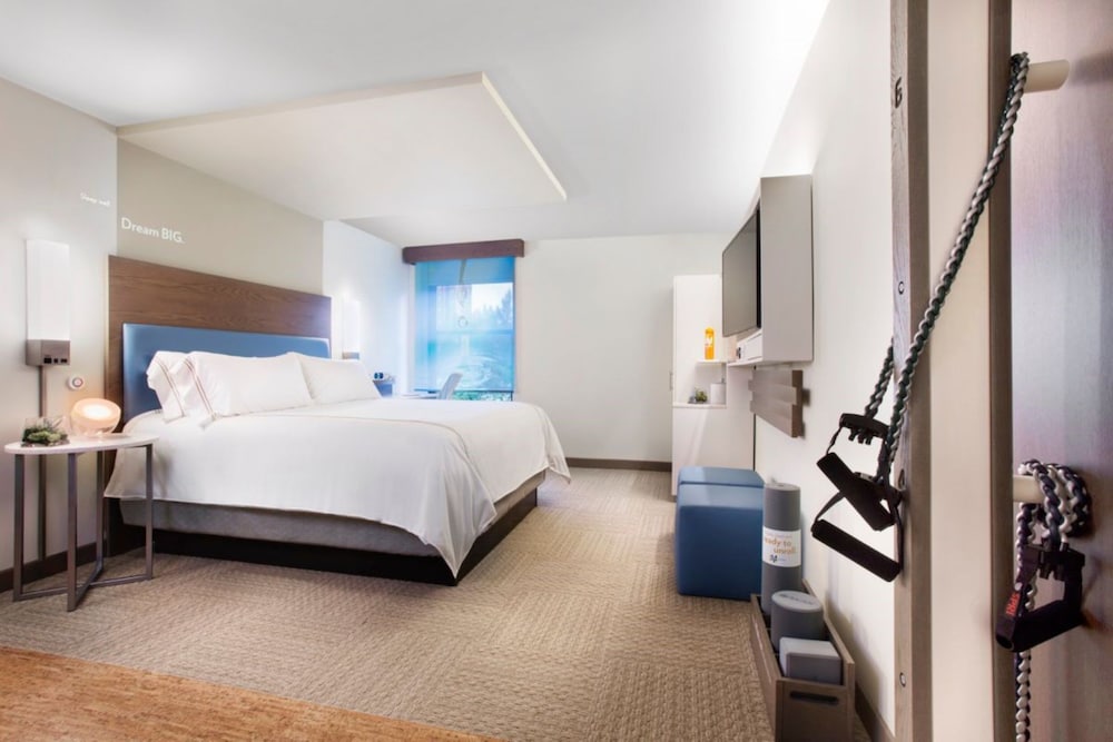 Newly Renovated 1 King Bed Standard Walk-In Shower