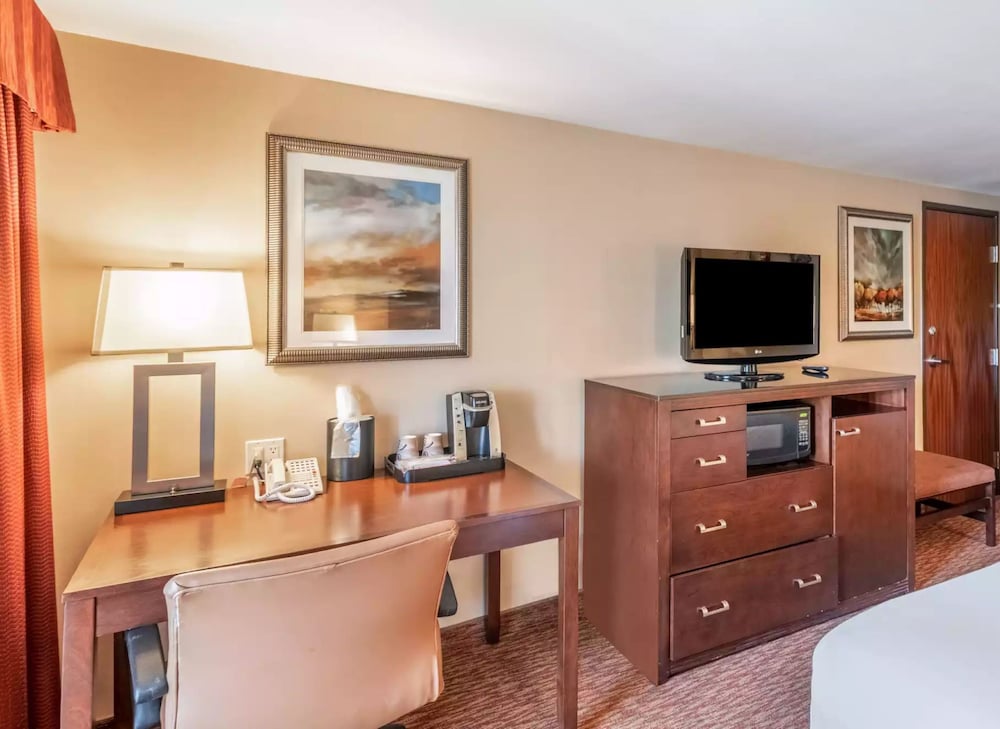 Standard Room, 1 King Bed, Roll-in Shower (Mobility Accessible)