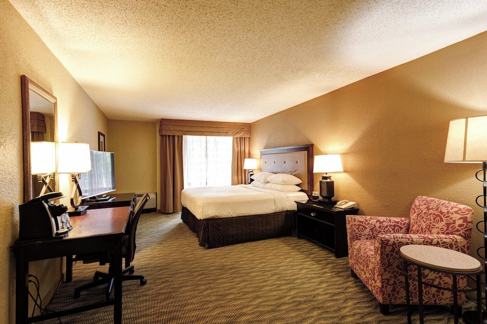 Premium Room, 1 King Bed (High Floor)