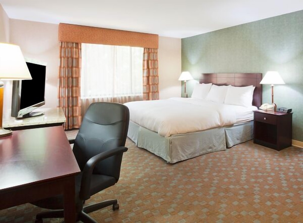Room, 1 King Bed, Accessible (Hearing)
