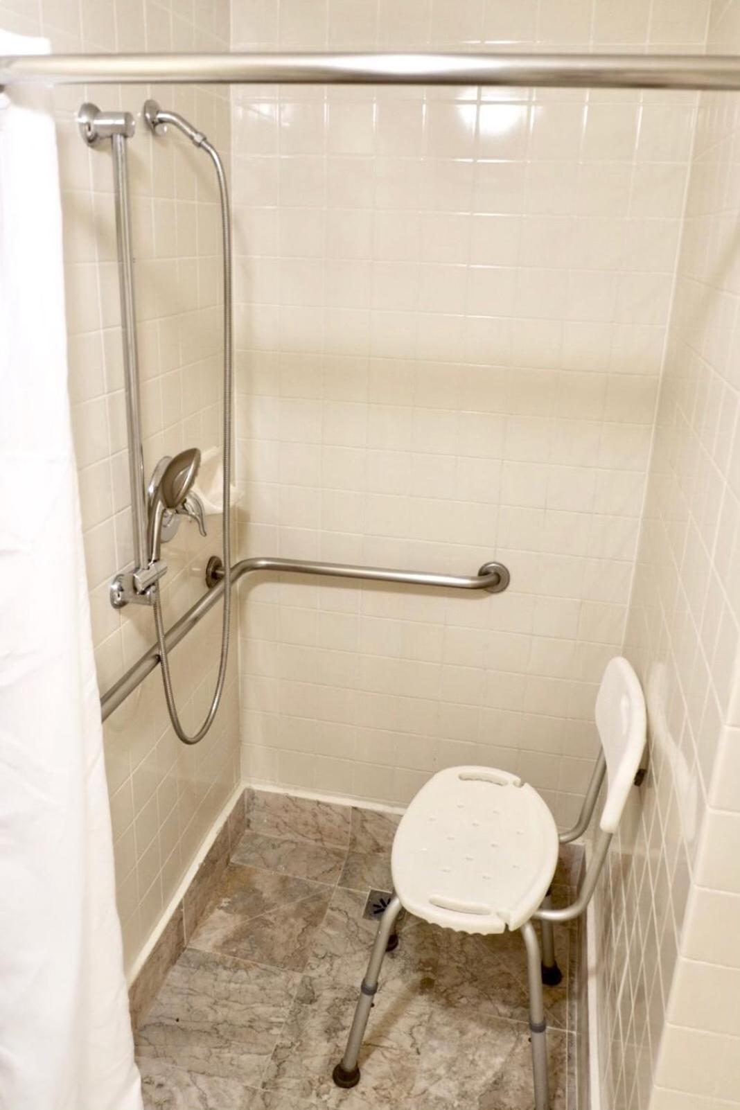 Accessible Room, 1 King Bed, Roll-In Shower, Non Smoking