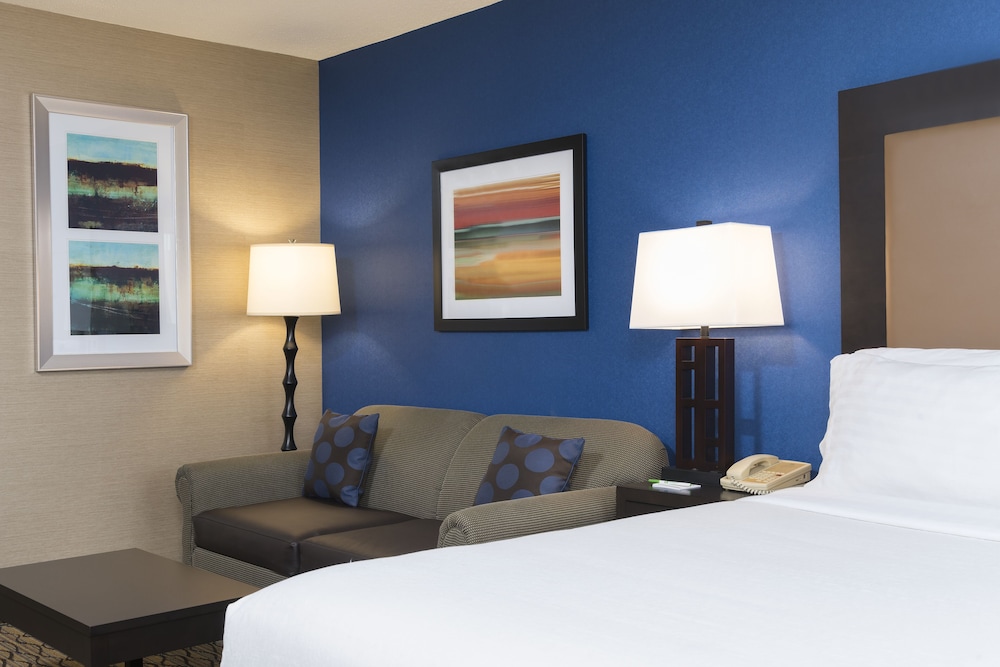 Standard Room, 1 King Bed With Sofa Bed