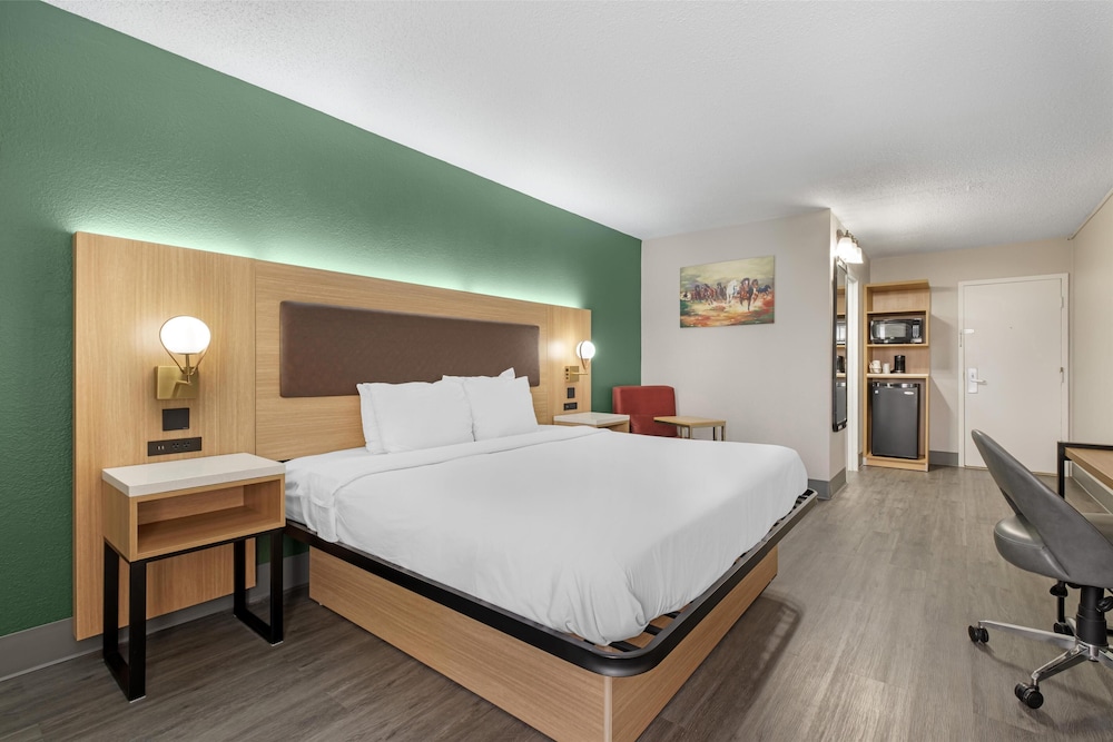 Room, 1 King Bed, Non Smoking