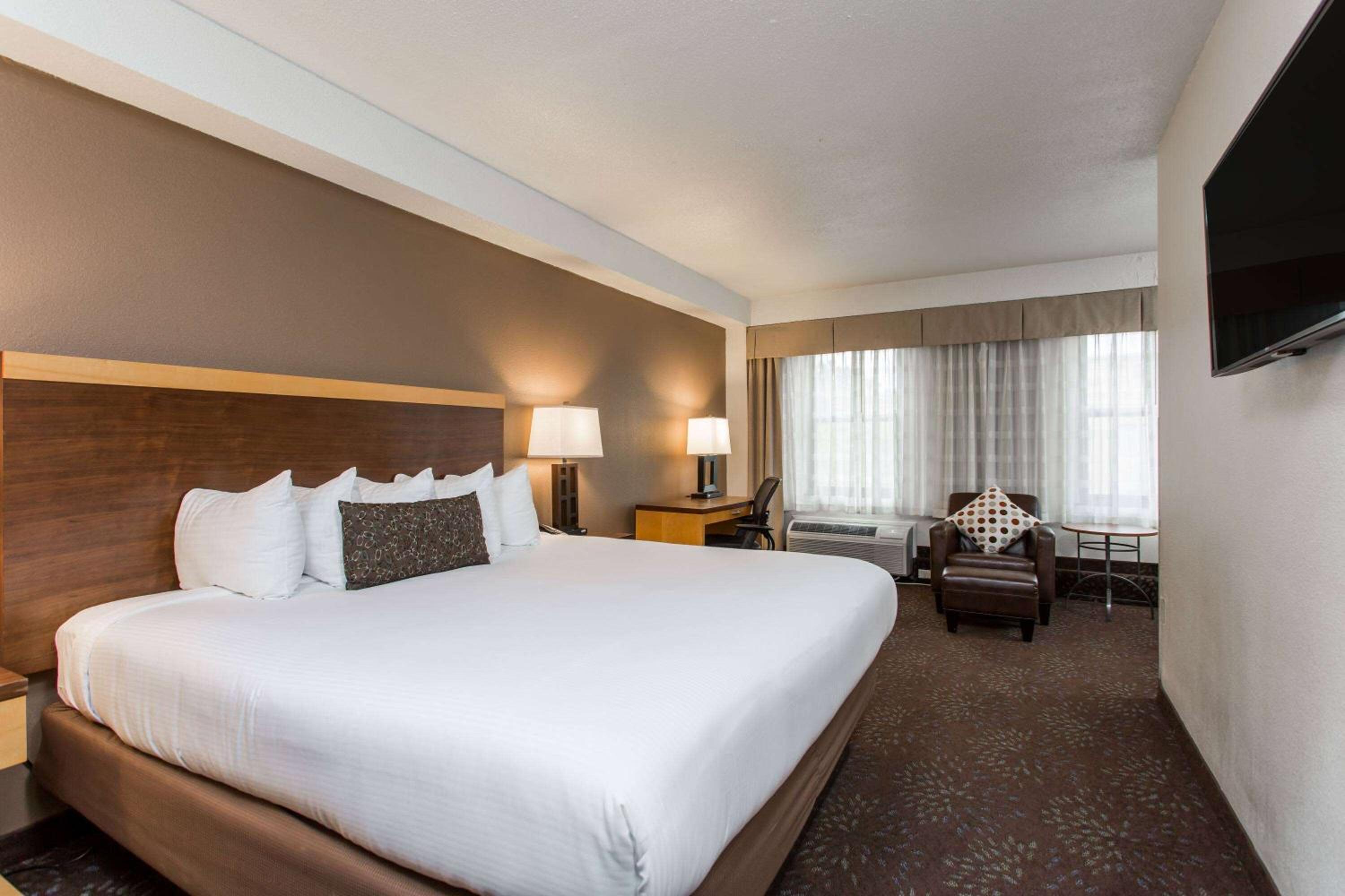 Business King Room - Non-Smoking