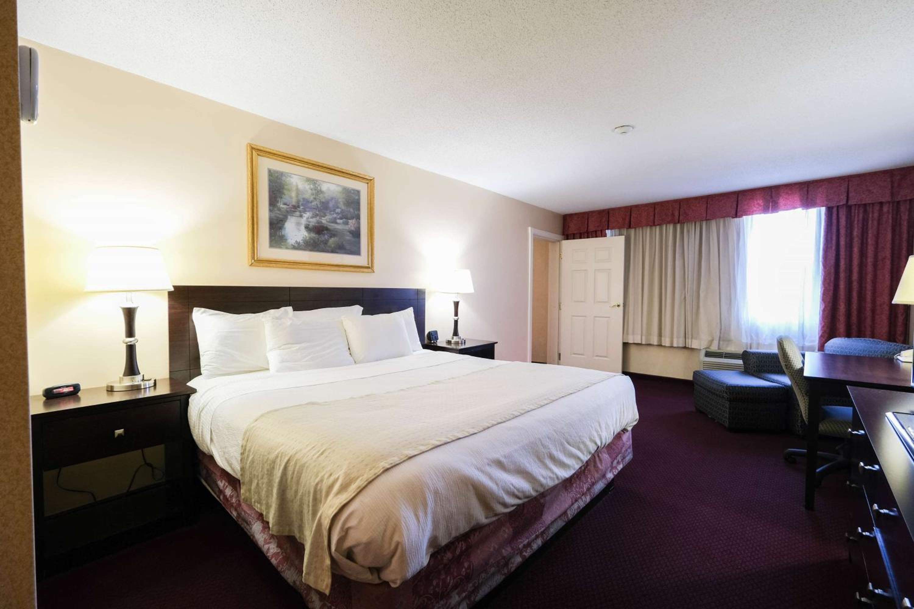 Deluxe King Suite