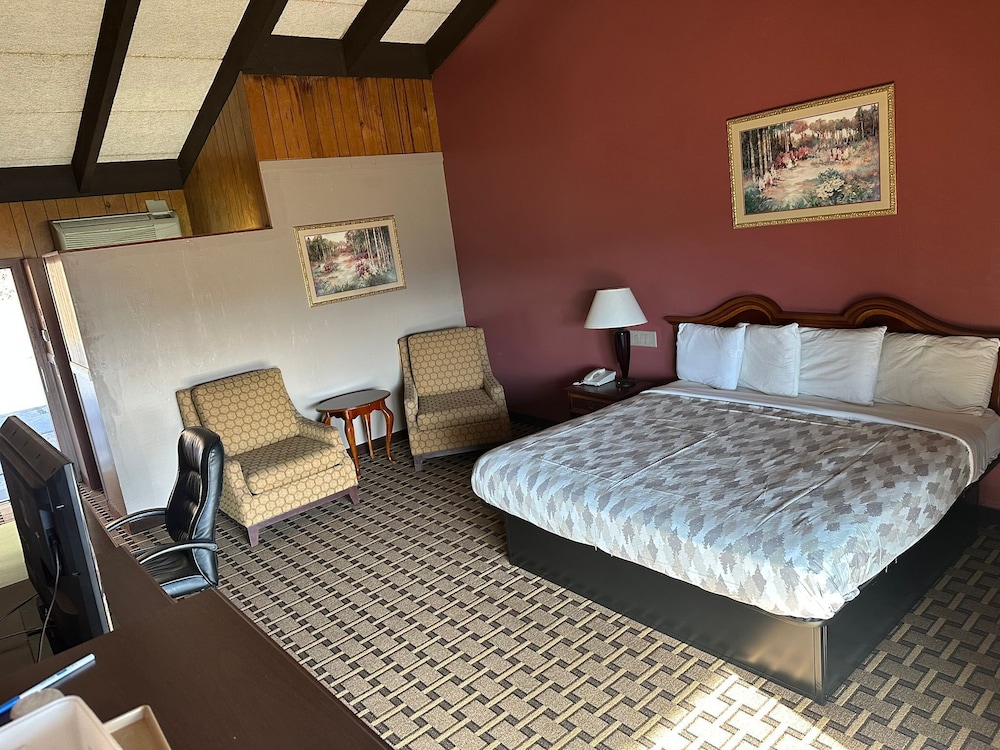 Room, 1 King Bed, Non Smoking, Mountain View