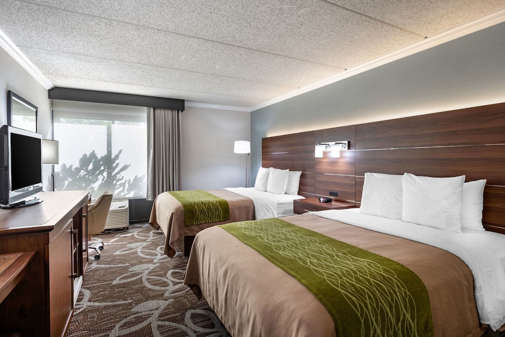 Standard Room, 2 Queen Beds, Top Floors, Non Smoking