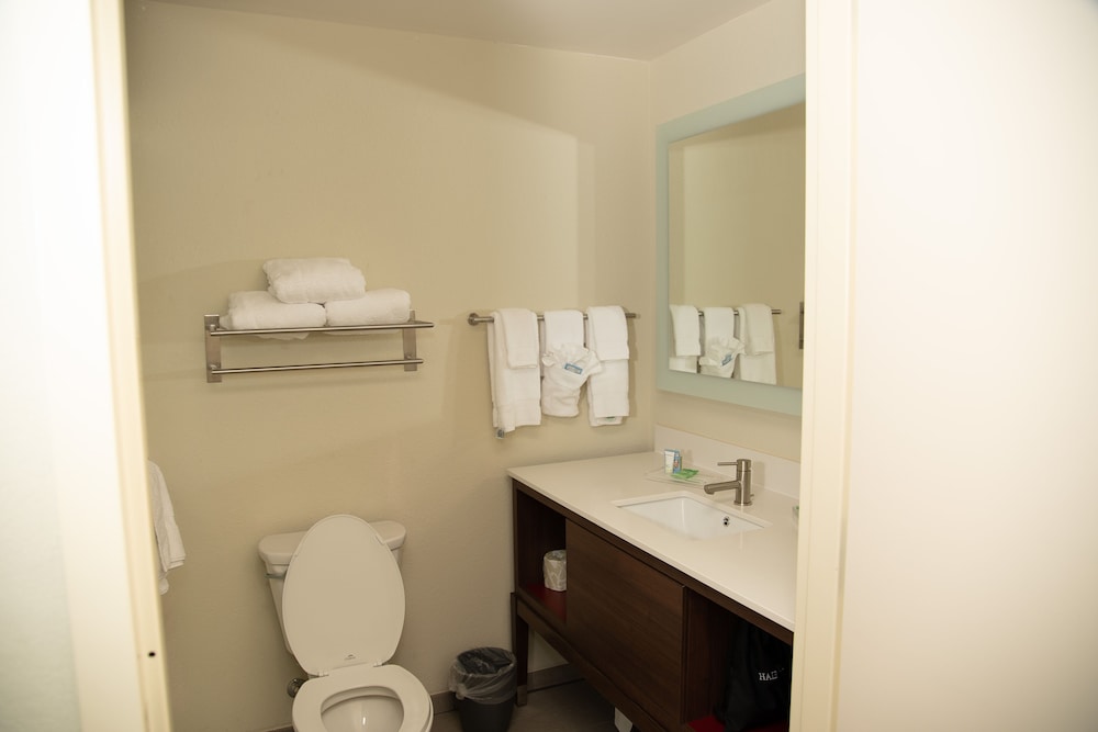 Suite, 1 King Bed