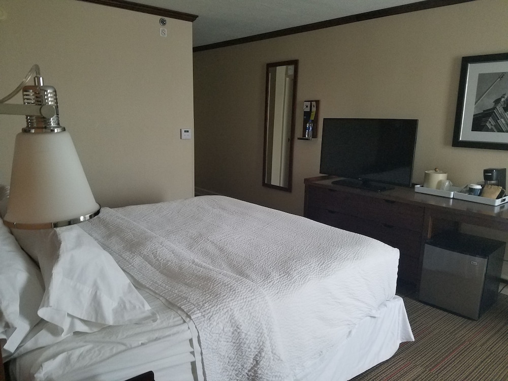 Room, 1 Queen Bed
