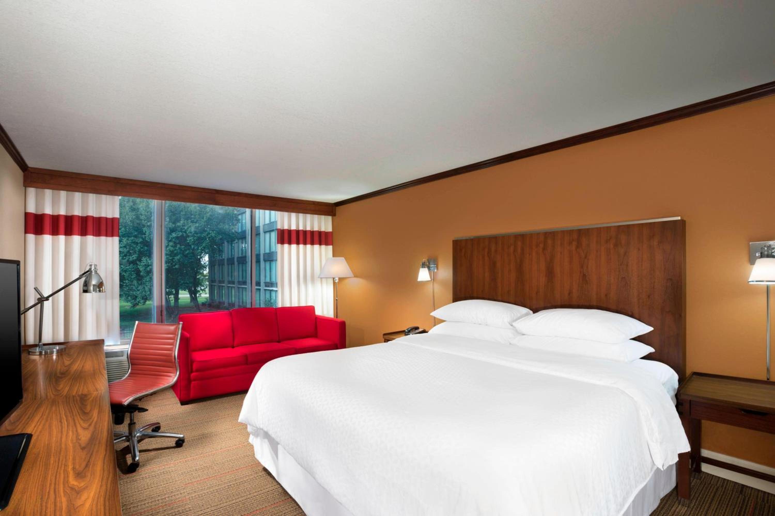 One-Bedroom King Suite with Sofa Bed