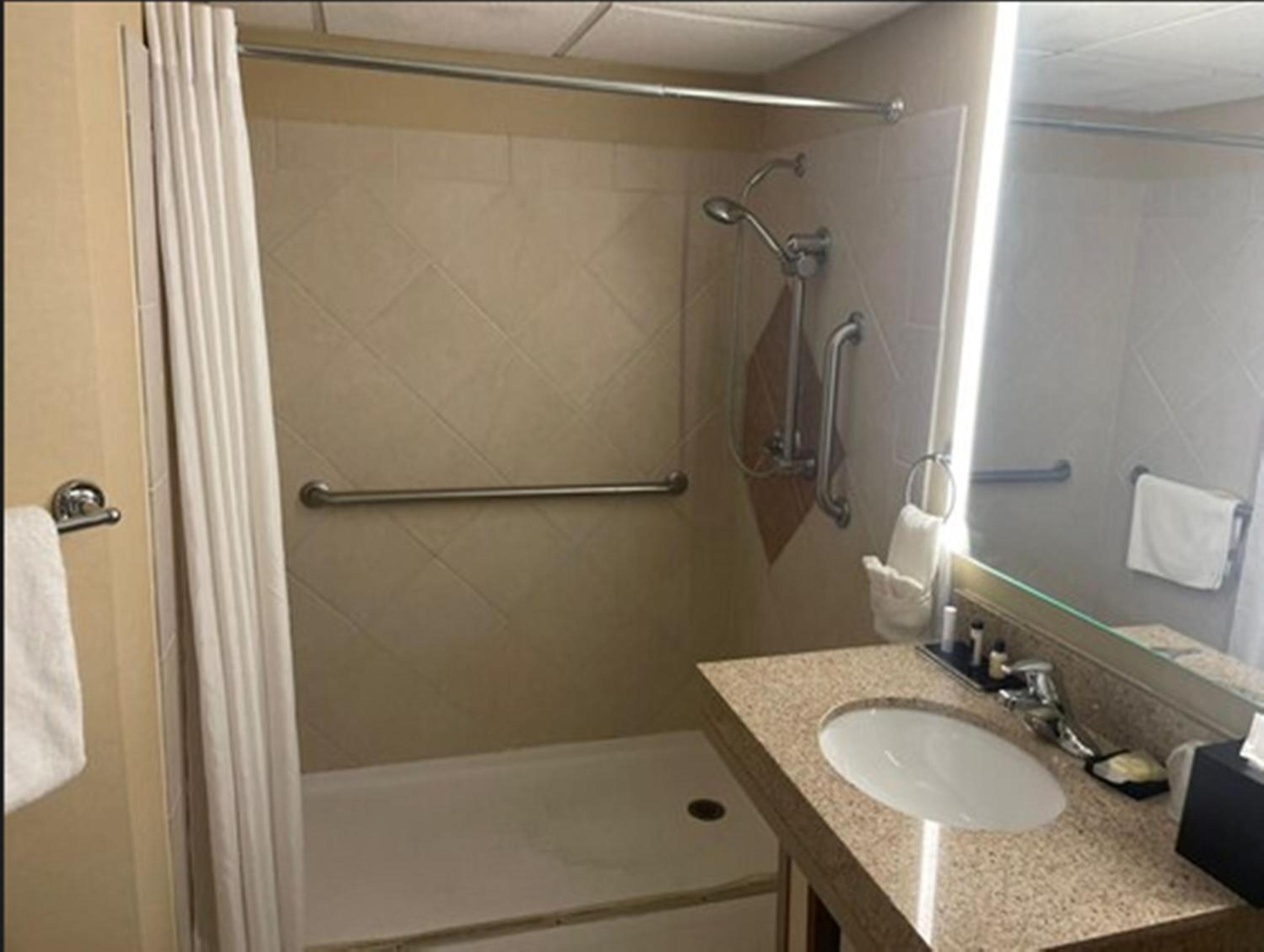 King Room with Roll-in Shower - Mobility Access/Non-Smoking