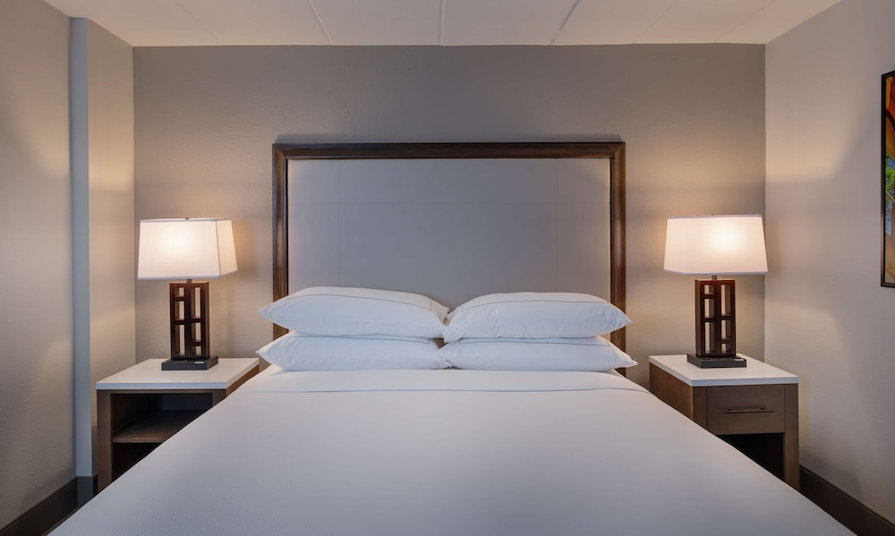 Studio, 1 King Bed, Accessible, Bathtub (Mobility & Hearing)