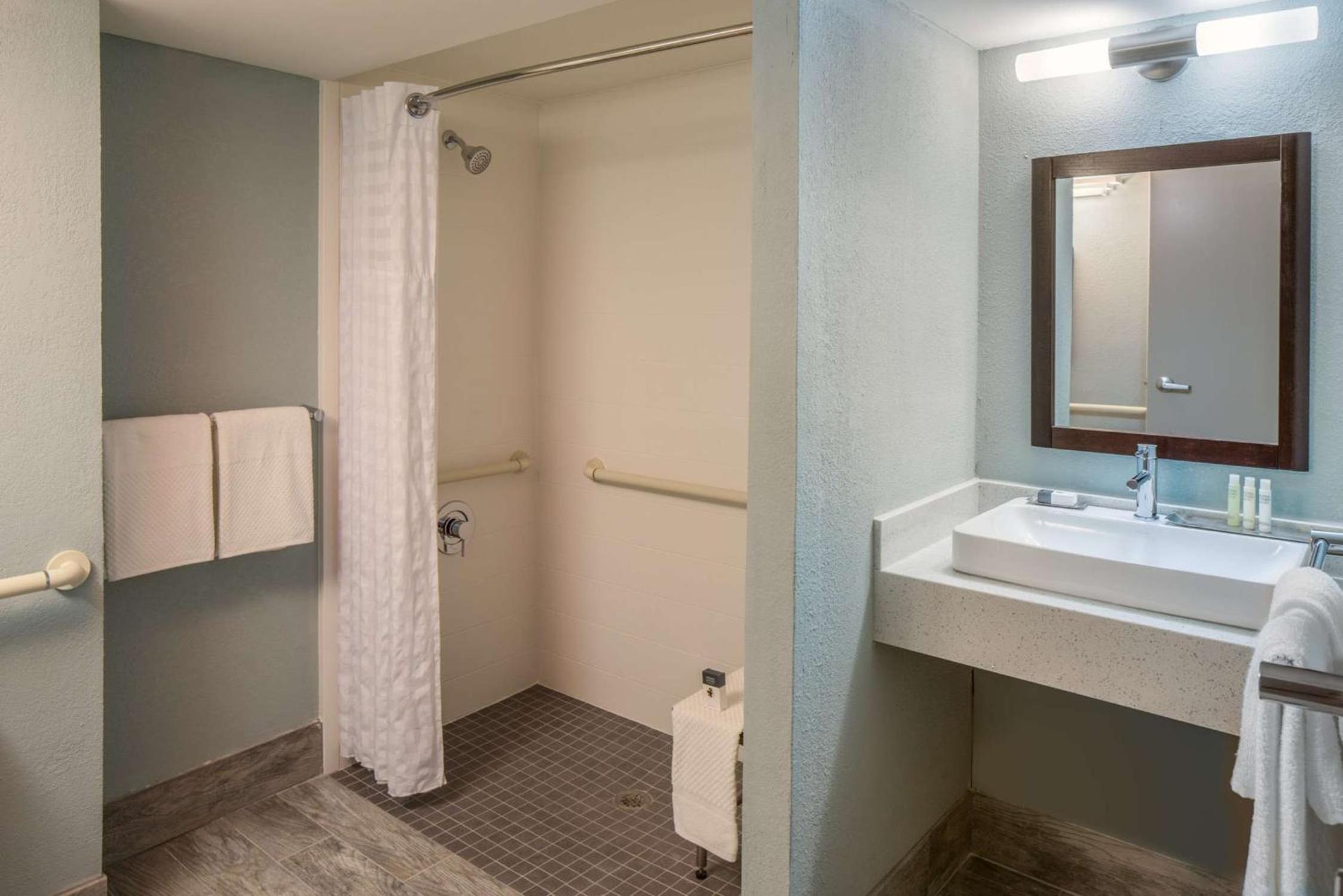 King Room with Roll-In Shower - Mobility Accessible