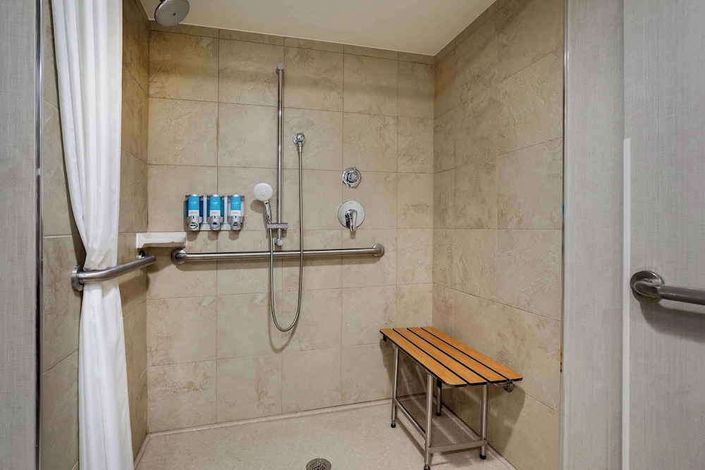 Deluxe Room, 1 King Bed, Accessible, Refrigerator & Microwave (Roll in Shower)