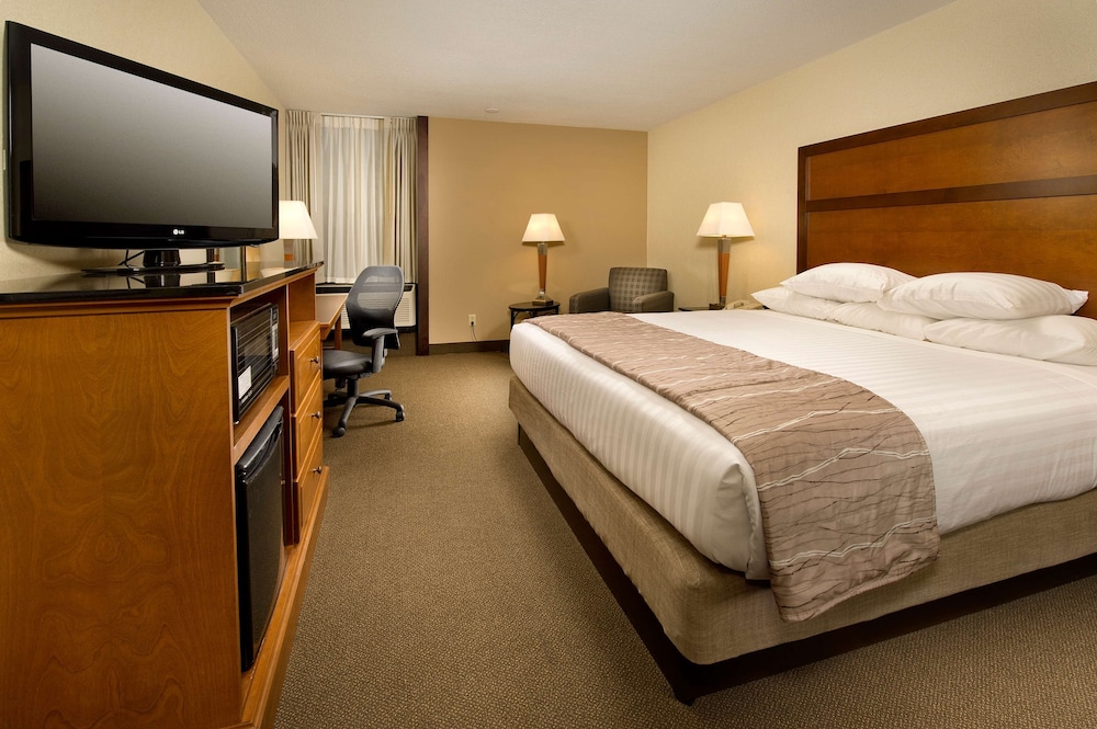 Deluxe Room, 1 King Bed, Accessible, Refrigerator & Microwave (Roll In Shower)
