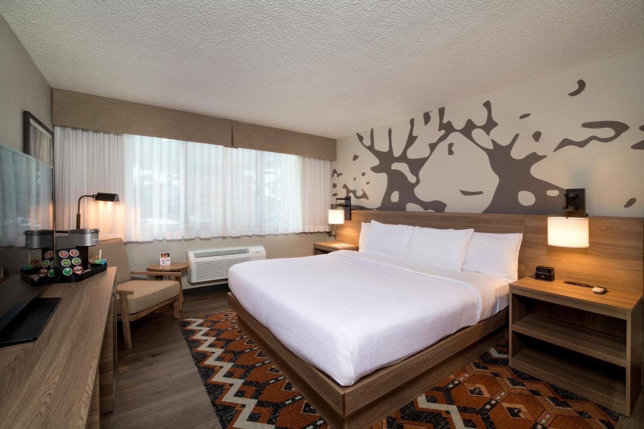 King Room with Roll-In Shower - Mobility Access