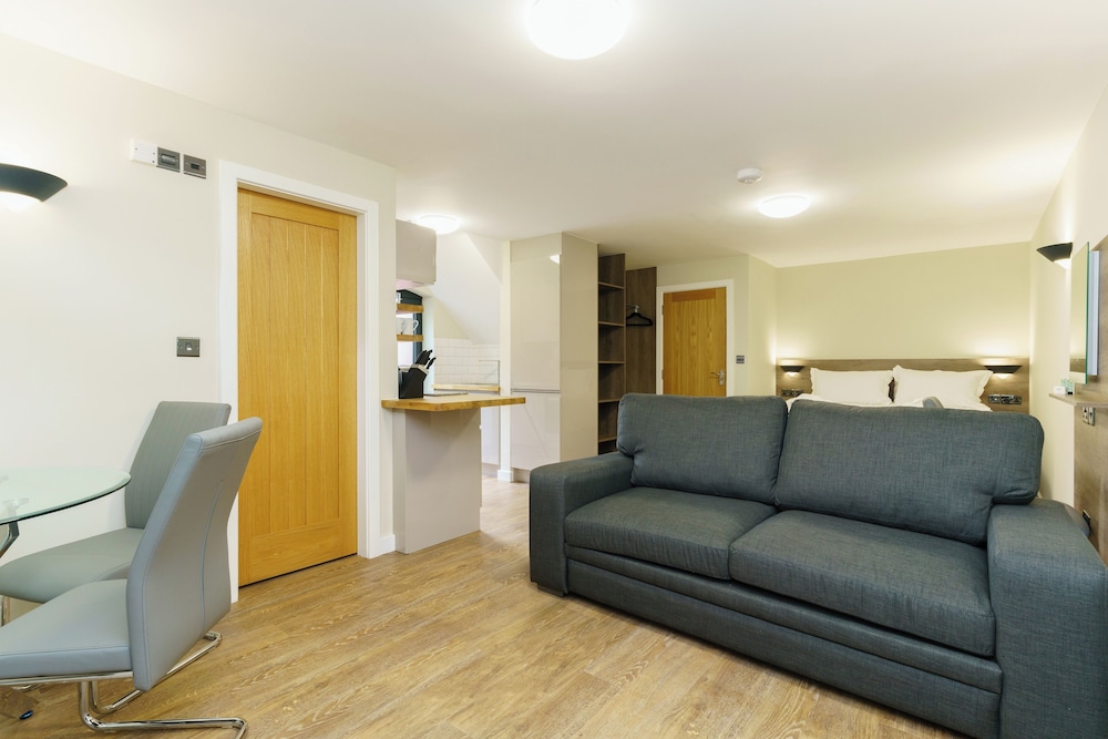 Standard Apartment, 1 King Bed with Sofa bed