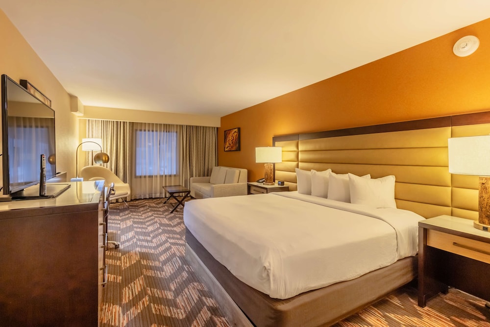 Room, 1 King Bed, Non Smoking (Larger Room)