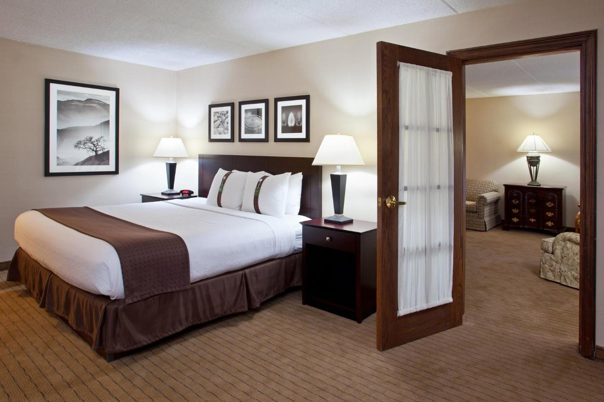One-Bedroom King Suite with Sofa Bed