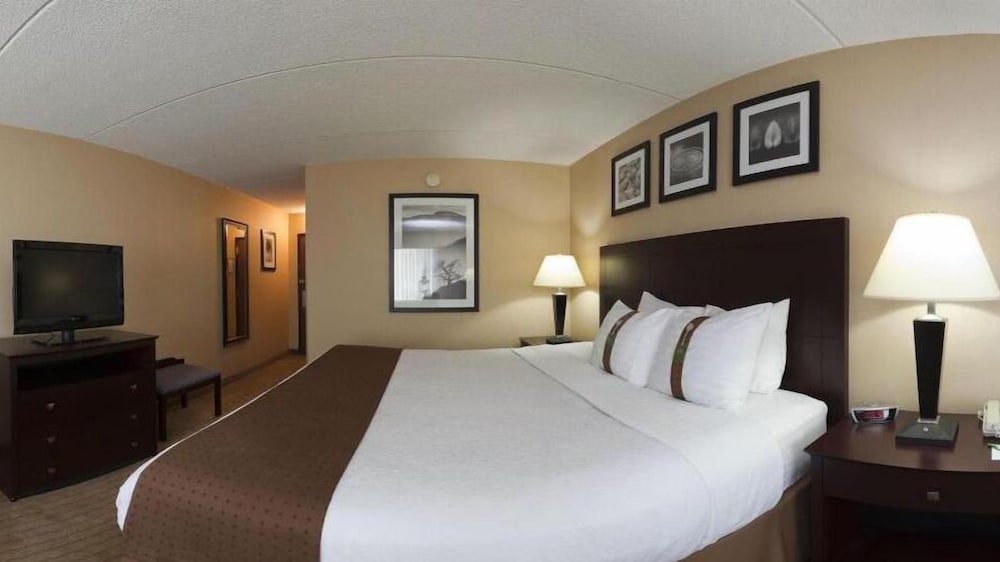 Standard Room, 1 King Bed, Accessible (Communications, Accessible Tub)