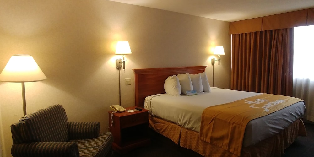 Room, 1 King Bed, Non Smoking