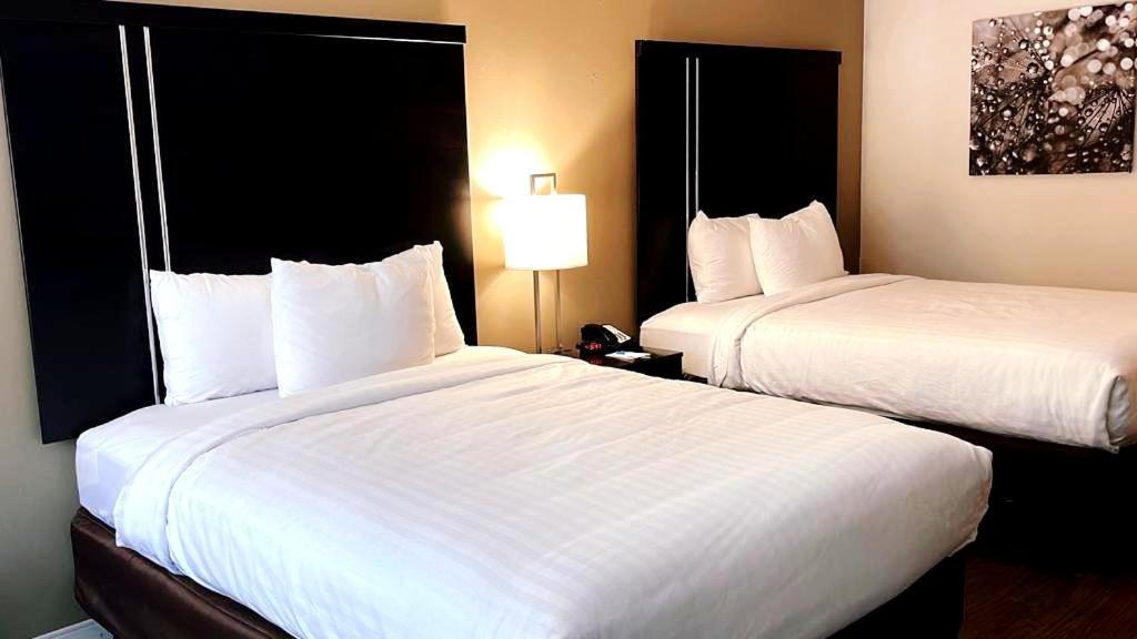 Queen Room with Two Queen Beds - Accessible/Non Smoking