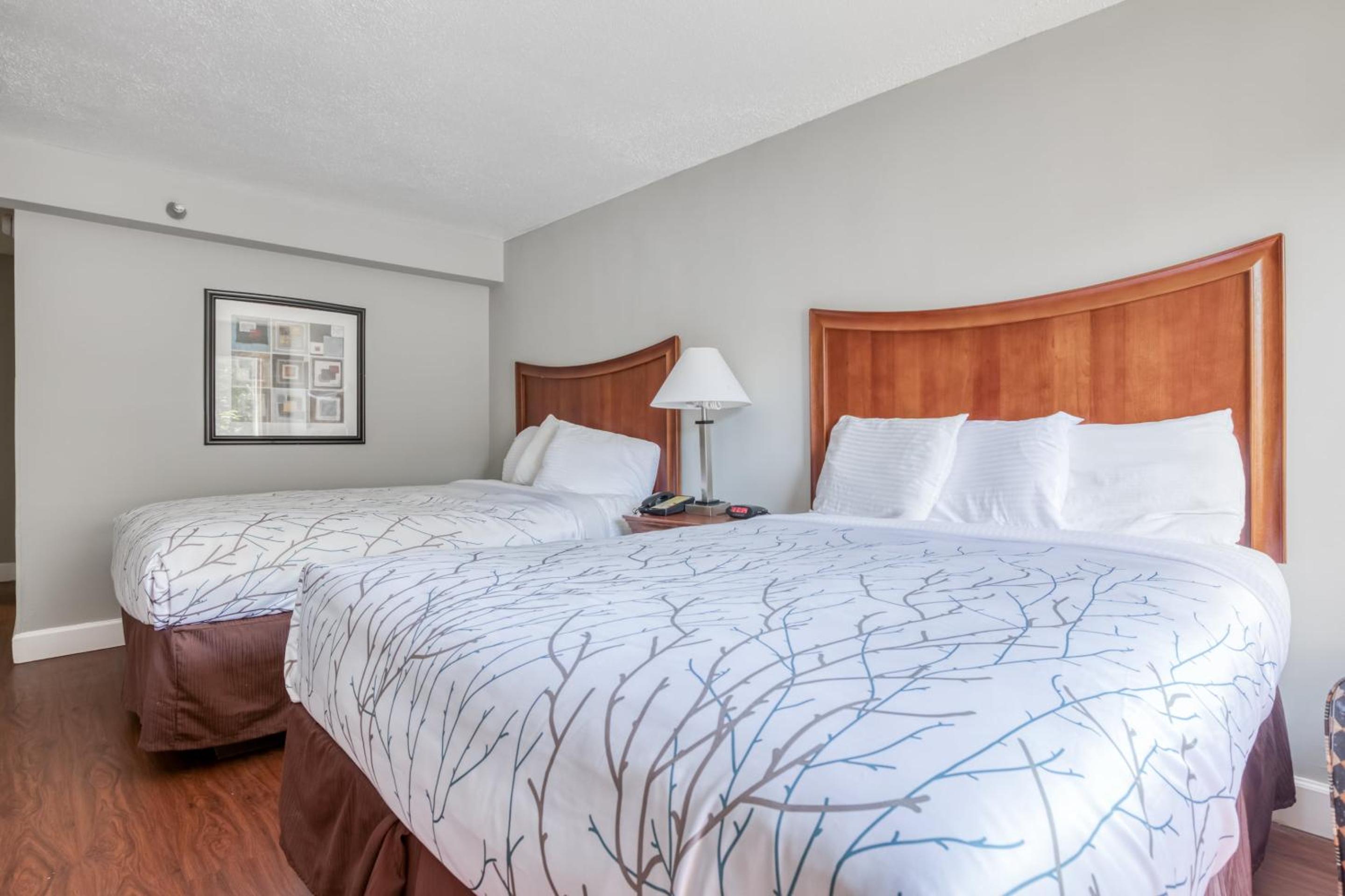 Premium 2 Queen Beds