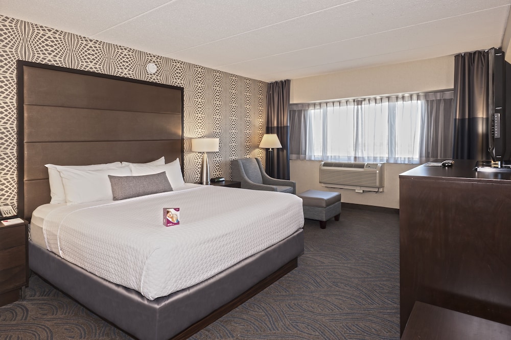 Standard Room, 1 King Bed, Accessible (Mobility, Roll-In Shower)