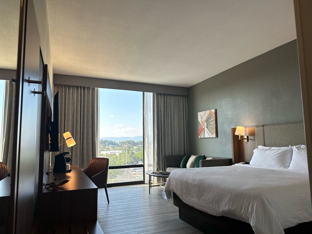 Premium Room, 1 King Bed, Mountain View
