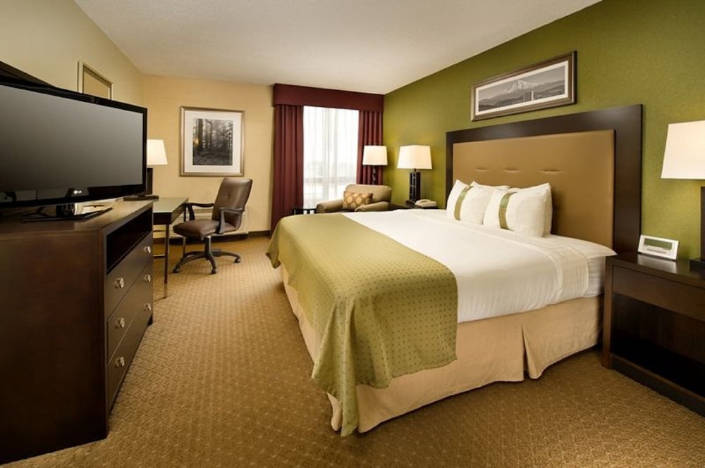 Premium Room, 1 King Bed, Mountain View (Top Floor, Allergen Treated)