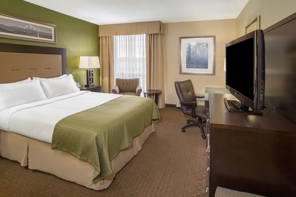 Standard Room, 1 King Bed, Accessible (Mobility)