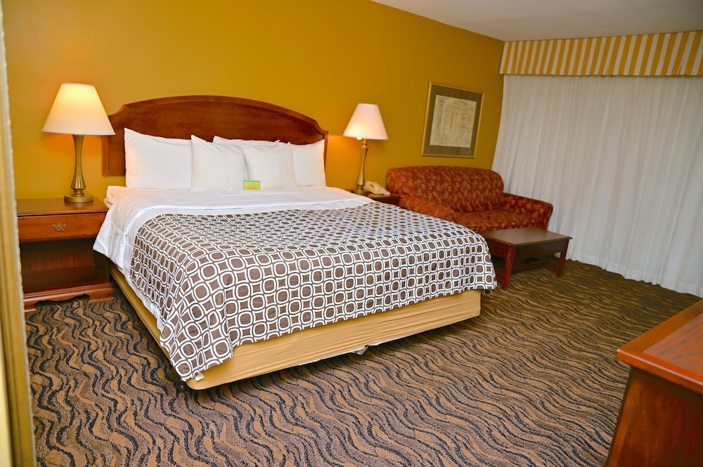 Standard Room, 1 King Bed with Sofa bed