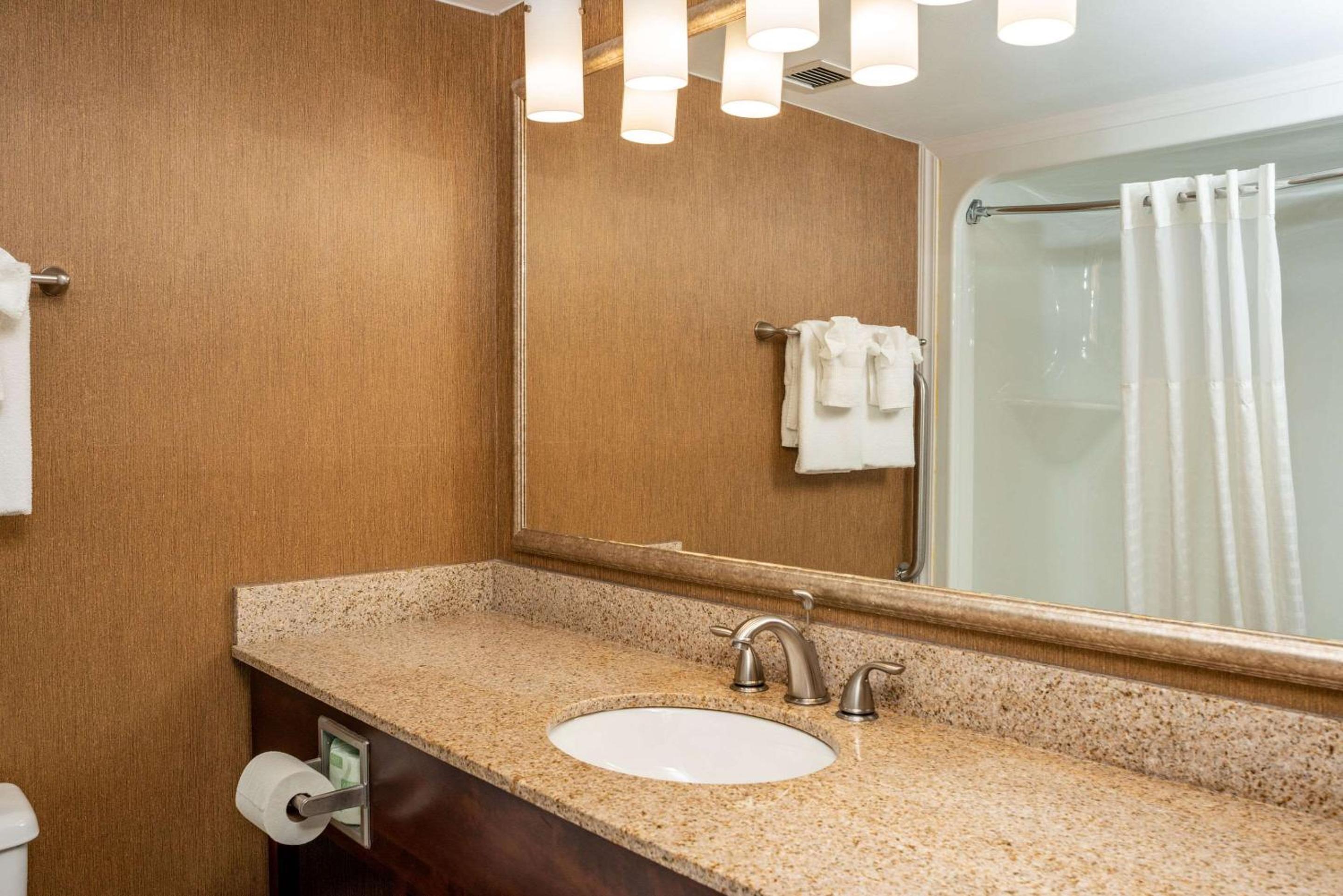 King Room with Roll in Shower - Mobility Accessible/Non-Smoking