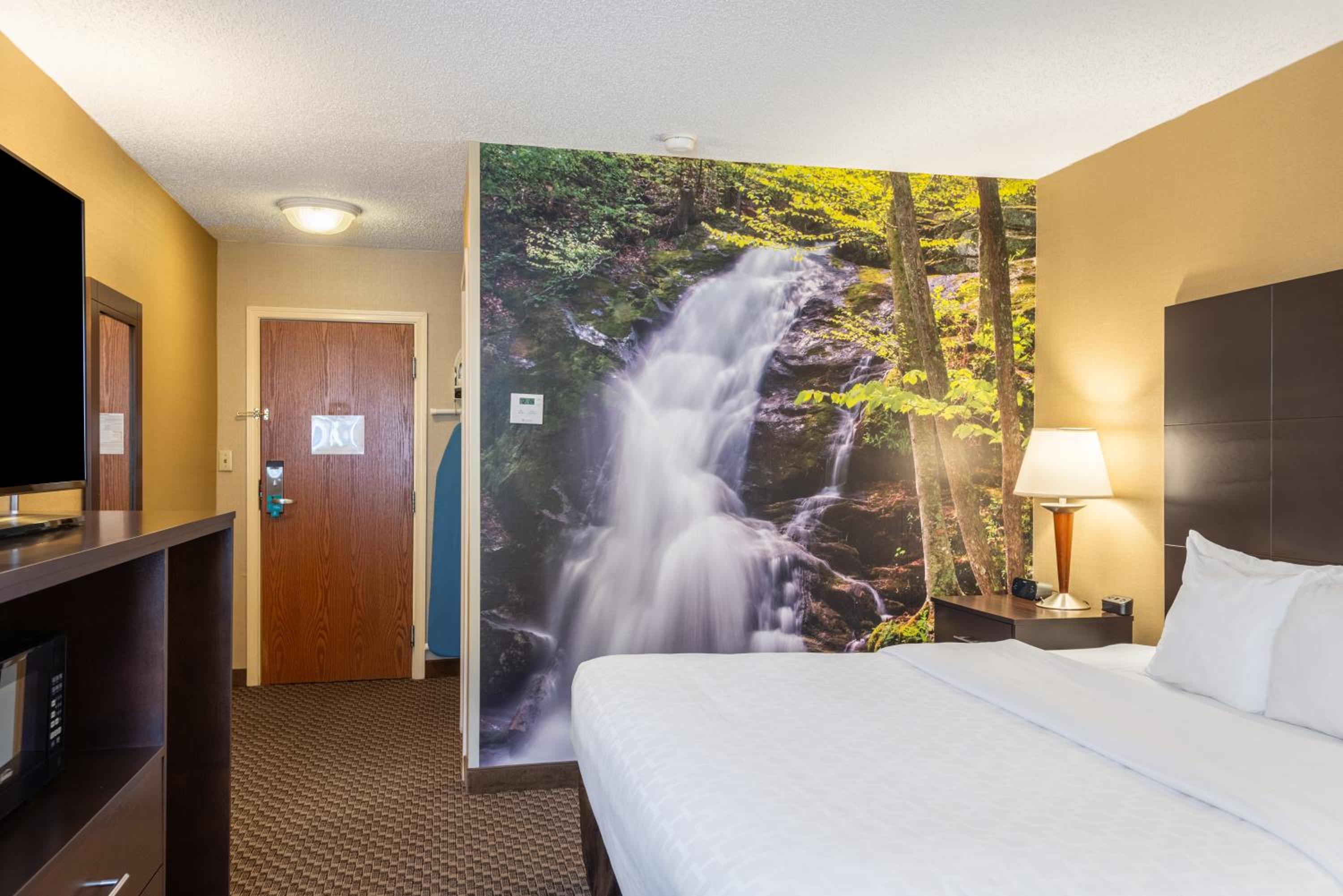Business King Room - Accessible/Non-Smoking