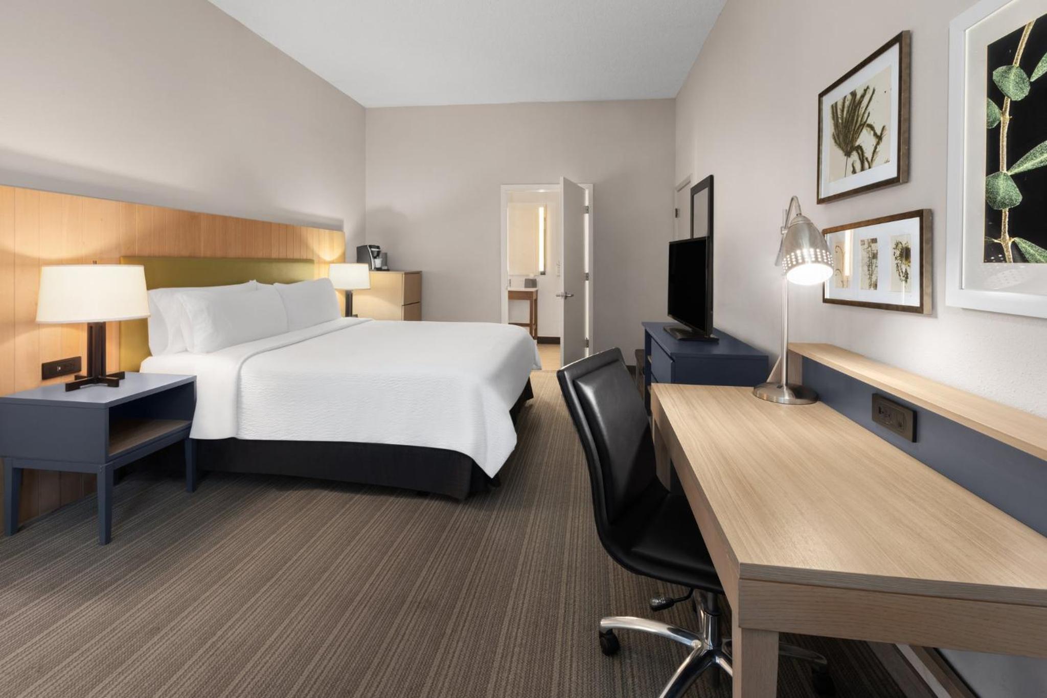 Double Room - Mobility Access with Roll-in Shower