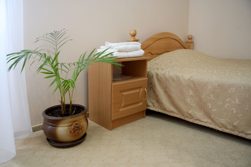 Standard Single Room, City View