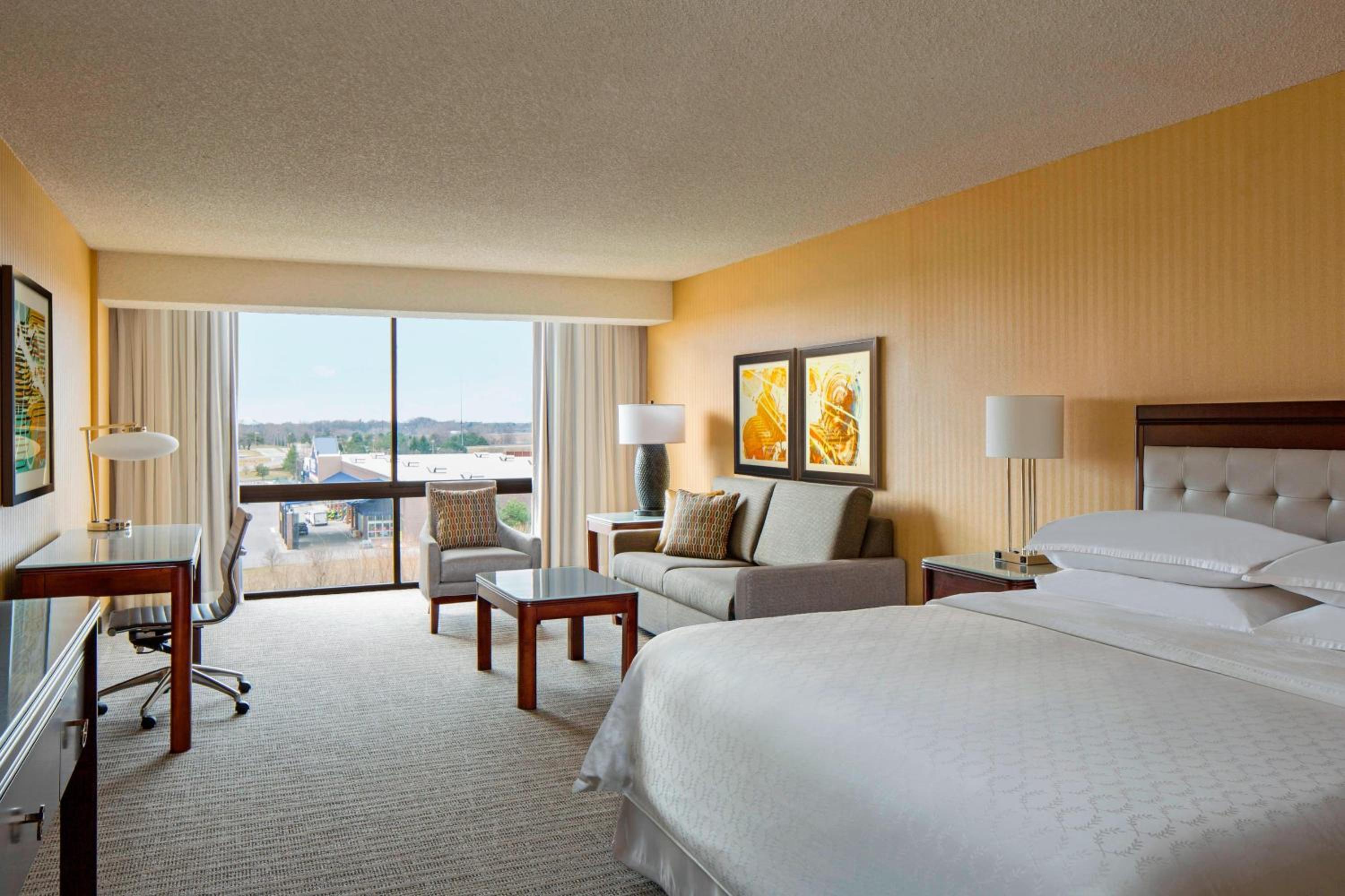 Junior King Suite with Sofa Bed