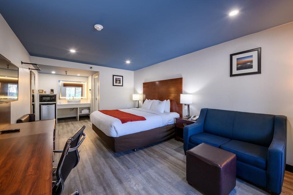 Standard Room, 1 King Bed, Accessible, Non Smoking