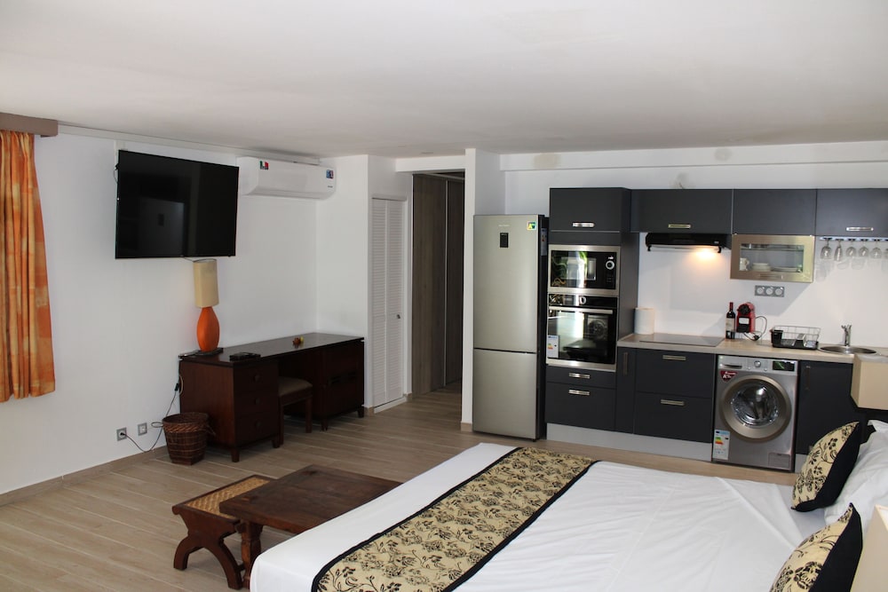 Deluxe Apartment, 1 King Bed with Sofa bed