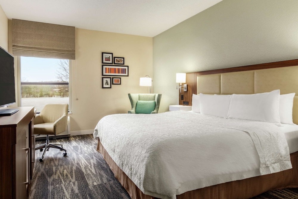Room, 1 King Bed, Accessible